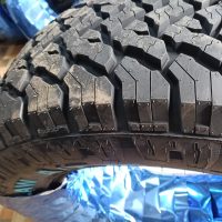 motion_photo_2304831133379372516