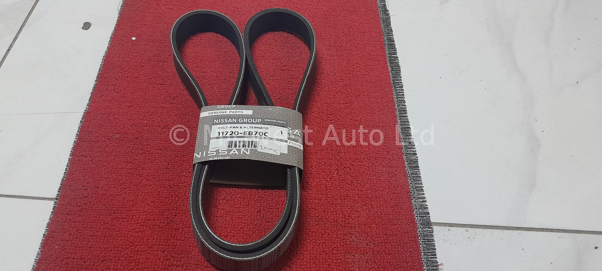 Fan Belt Nissan Navara YD25