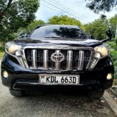 Land Cruiser Prado TX!!!