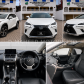 2018 Lexus NX300 Pearl White | Sunroof